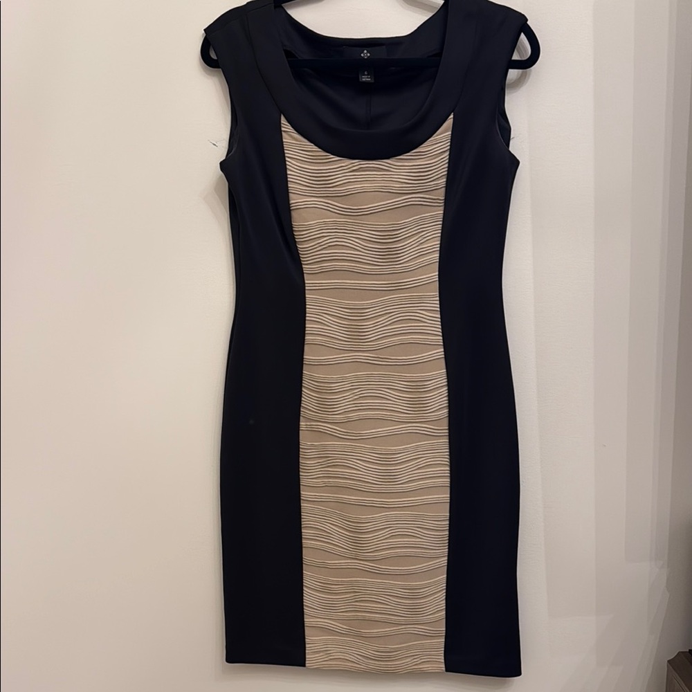 Elegant Black and Cream Ronni Nicole Dress